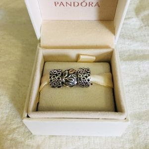 Set of Pandora Clips and Charms